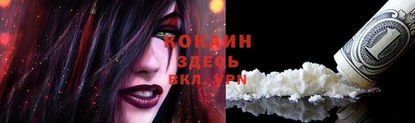 тгк Осинники