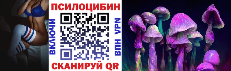 Псилоцибиновые грибы мицелий где можно купить Сортавала